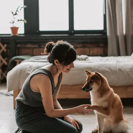 Ana Borges treinando cachorro com reforço positivo